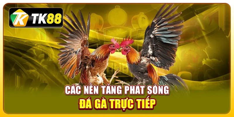 Các nền tảng phát sóng đá gà trực tiếp