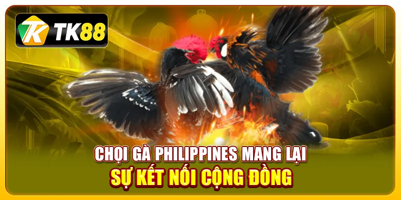 Chọi gà Philippines mang lại sự kết nối cộng đồng