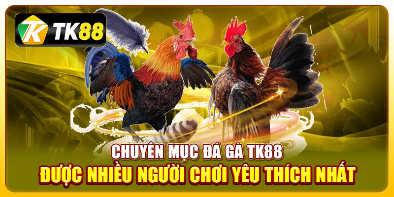 Chuyên mục đá gà TK88 được nhiều người chơi yêu thích nhất