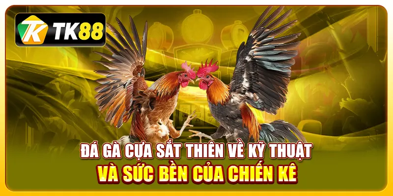 Đá gà cựa sắt thiên về kỹ thuật và sức bền của chiến kê