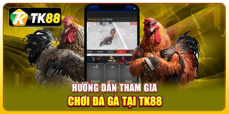 Hướng dẫn tham gia chơi đá gà tại TK88