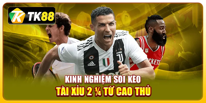 kèo tài xỉu 2,5