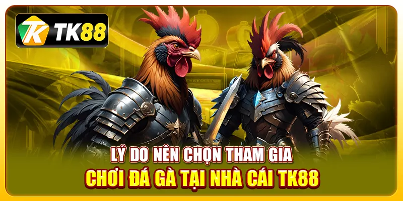 Lý do nên chọn tham gia chơi đá gà tại nhà cái TK88