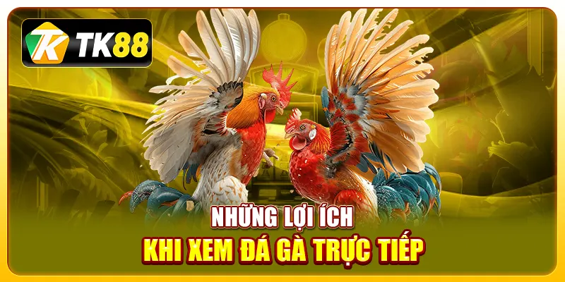 Những lợi ích khi xem đá gà trực tiếp