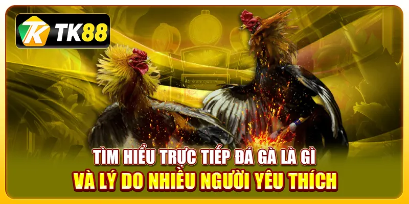 Trực tiếp đá gà